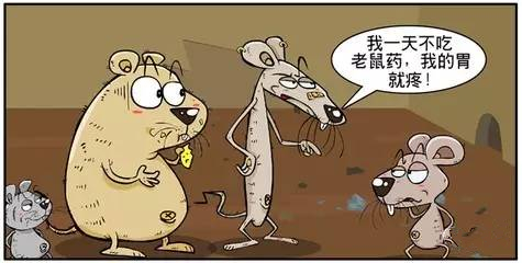 「上海地暖潮」——古代人的“空调”生活