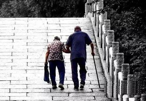 为了父母 为了父母