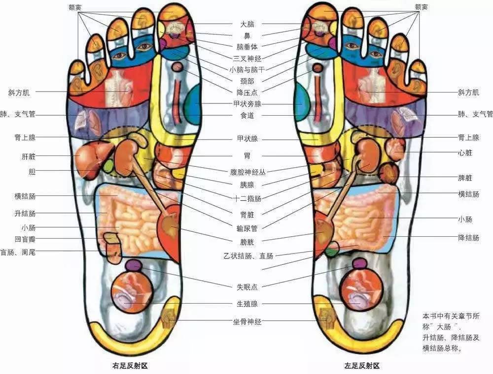 地暖：温足而顶凉